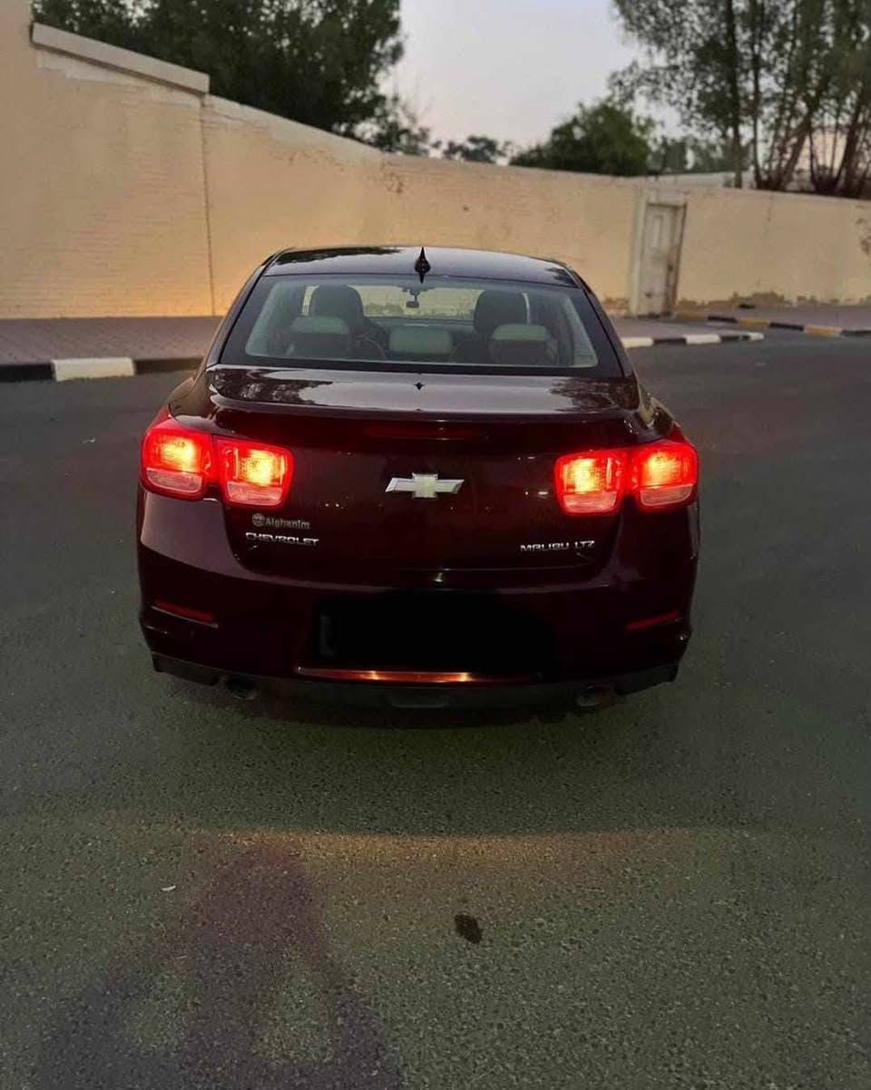 شفر ماليبو 2013 - صورة 3