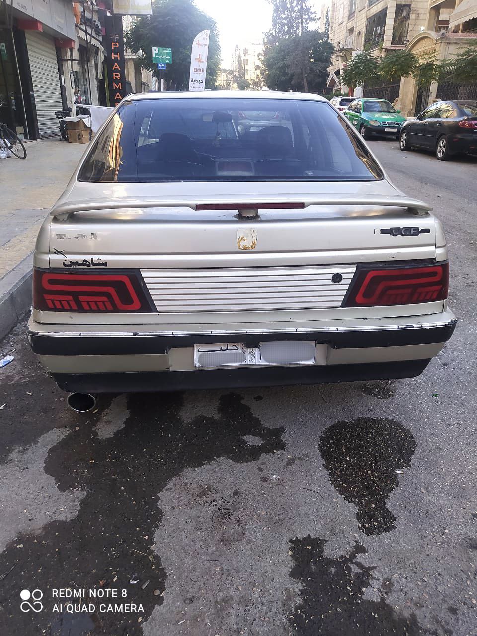 بيجو روى 2008 - صورة 5