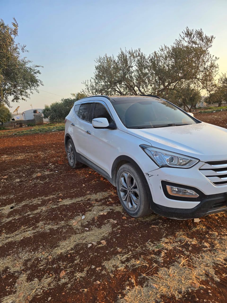 دي إم دي إم 2013 - صورة 1