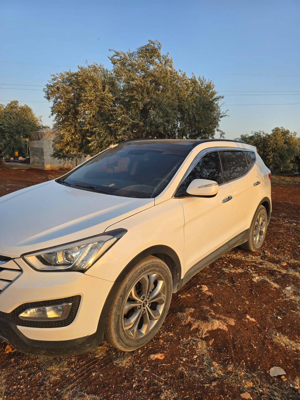 دي إم دي إم 2013 - صورة 2