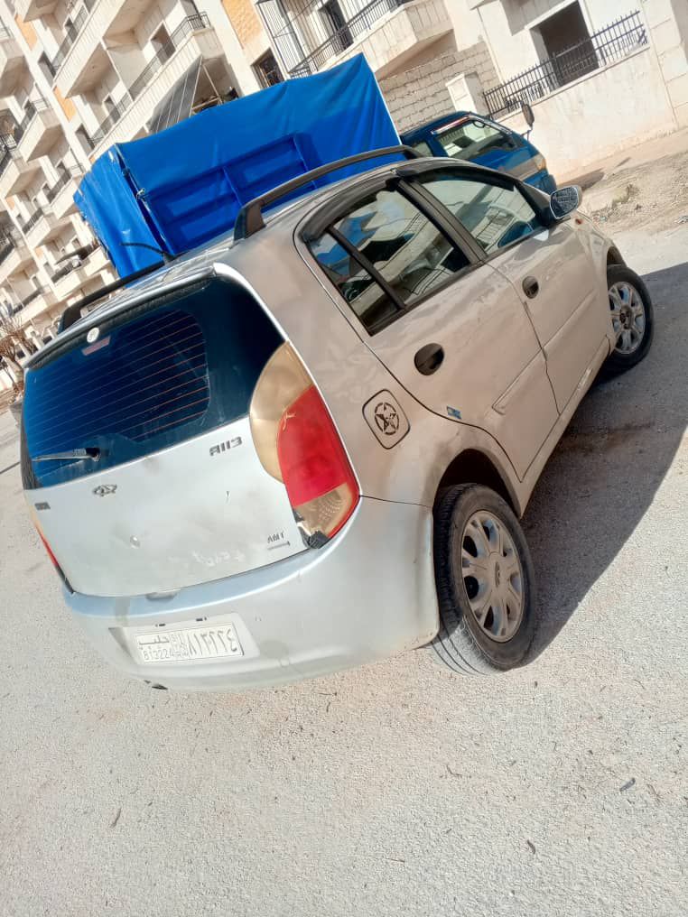 شيري حمي 2011 - صورة 2