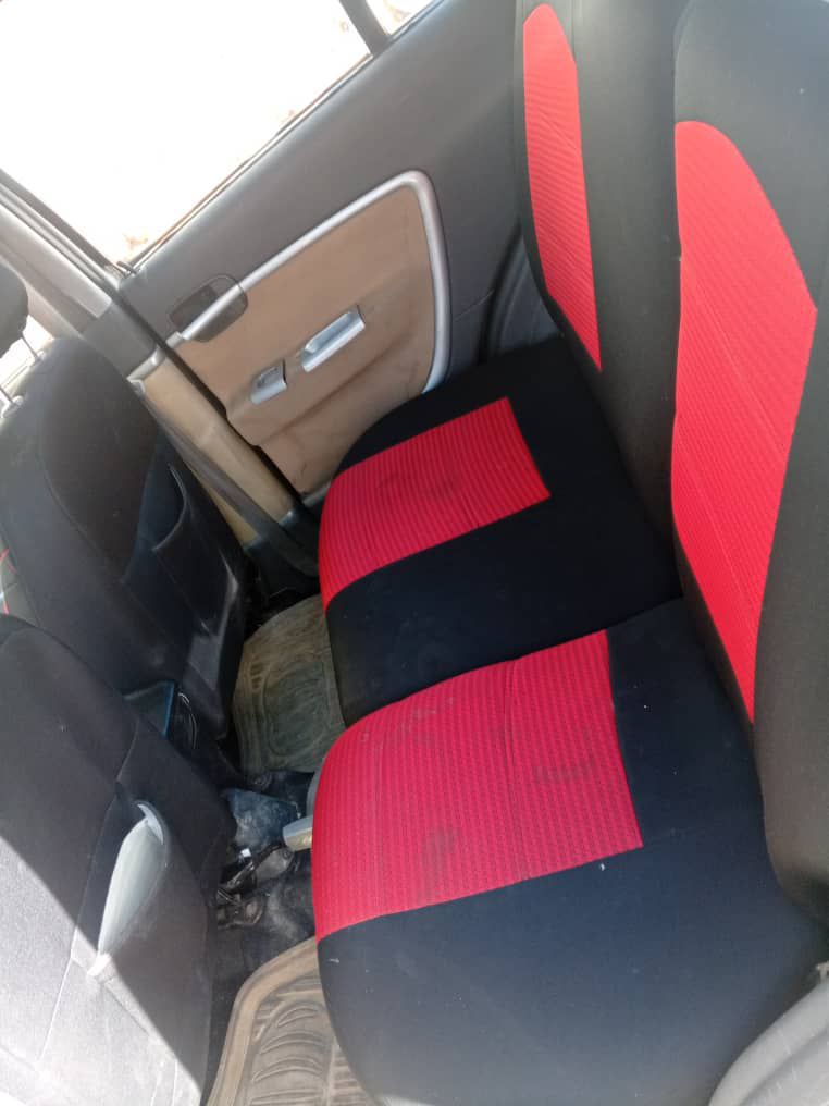 شيري حمي 2011 - صورة 3