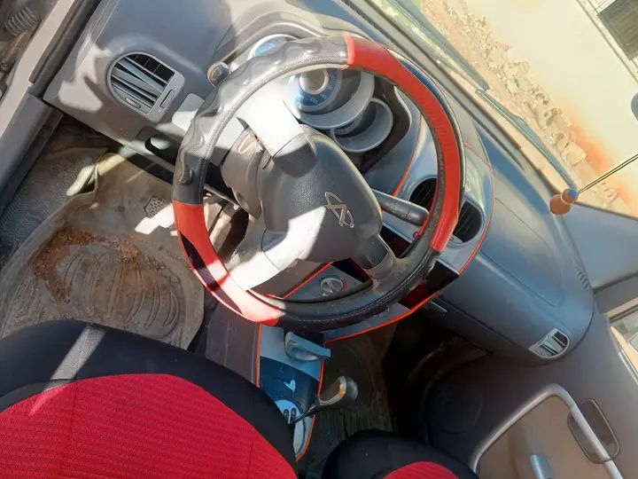 شيري حمي 2011 - صورة 5