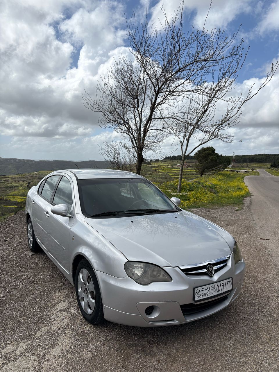 برتون بيرسونا 2010