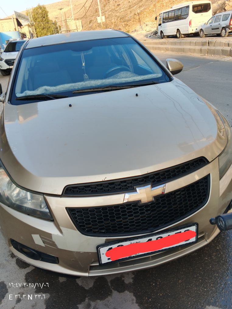 شفر كروز 2010