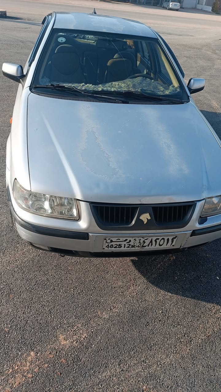 سام شام 2009 - صورة 1