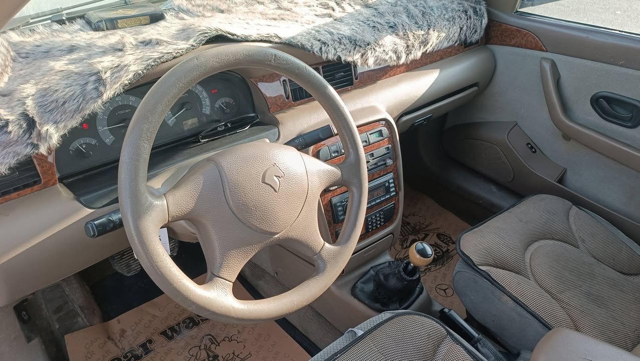 سام شام 2009 - صورة 2