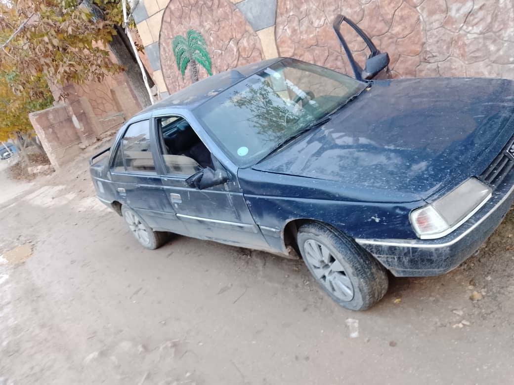 بيجو ٩٣ 1993 - صورة 3