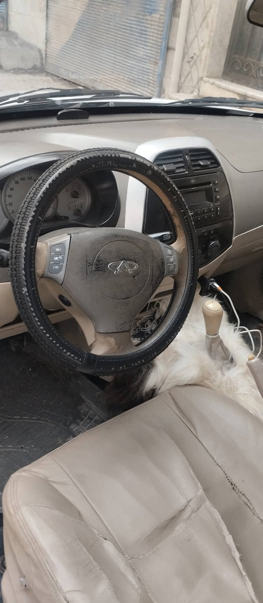 شيري تيكو 2008 - صورة 5