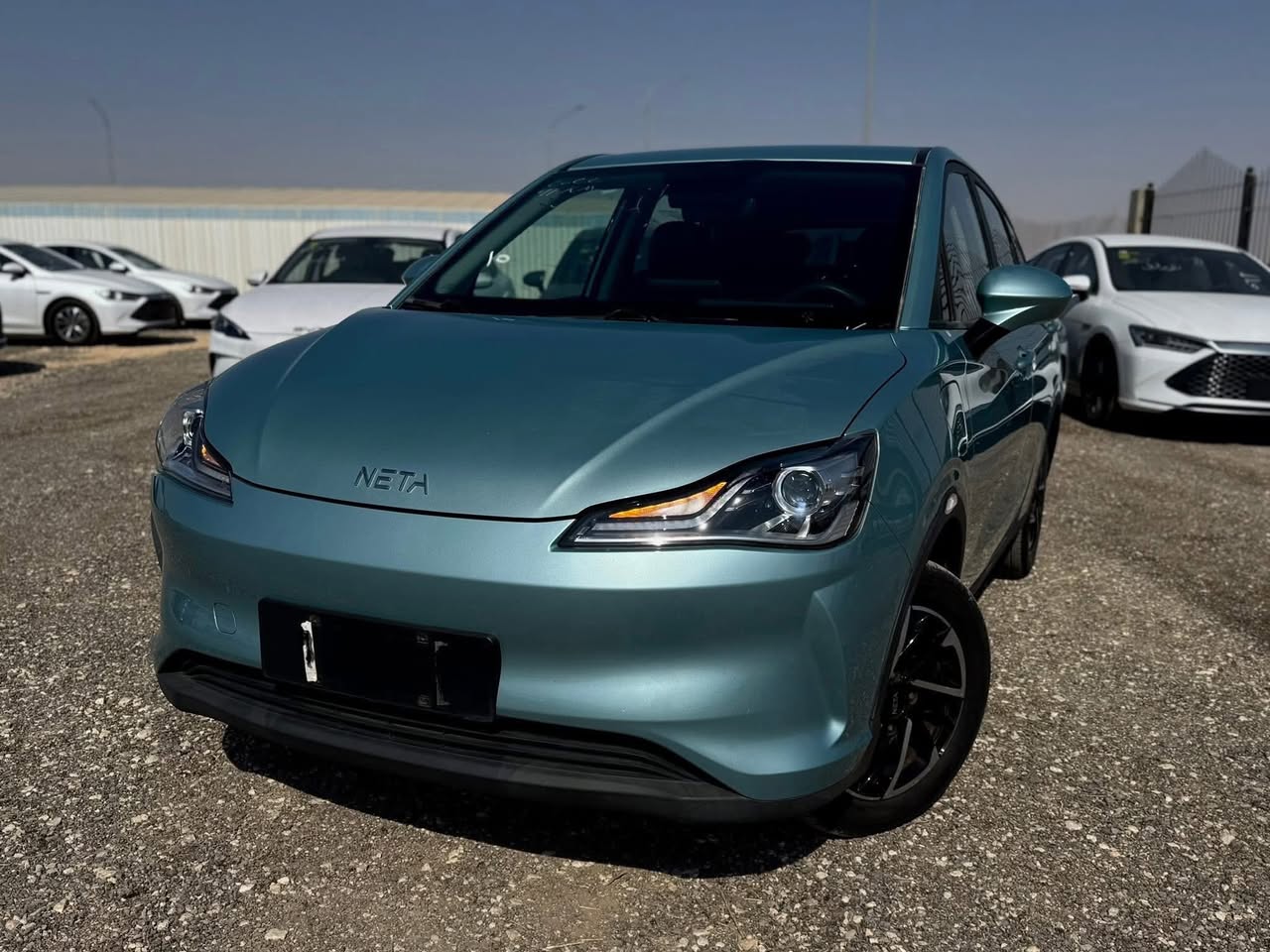 نيتا V 2022 - صورة 3