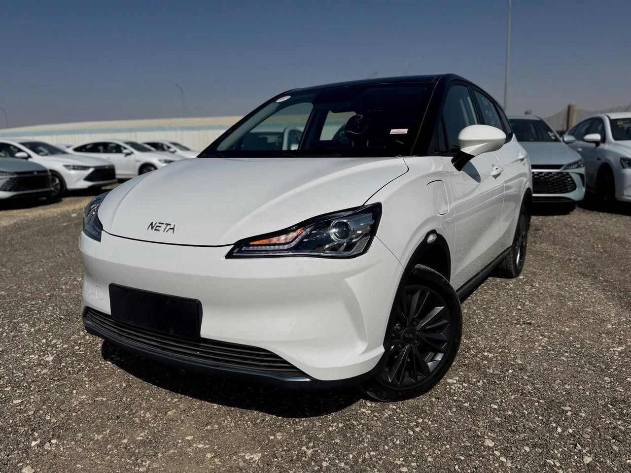 نيتا V 2022 - صورة 5