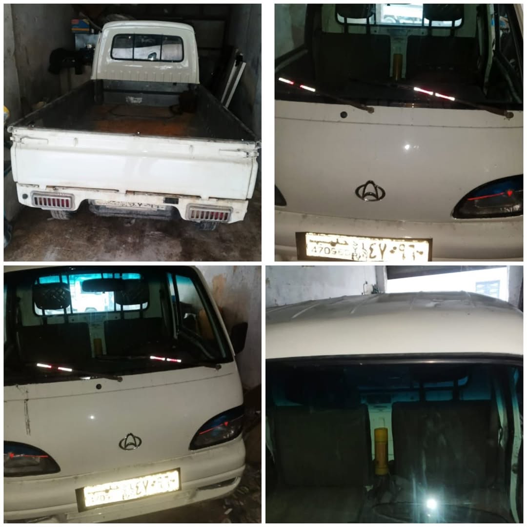 شانا قطة كرت 2008