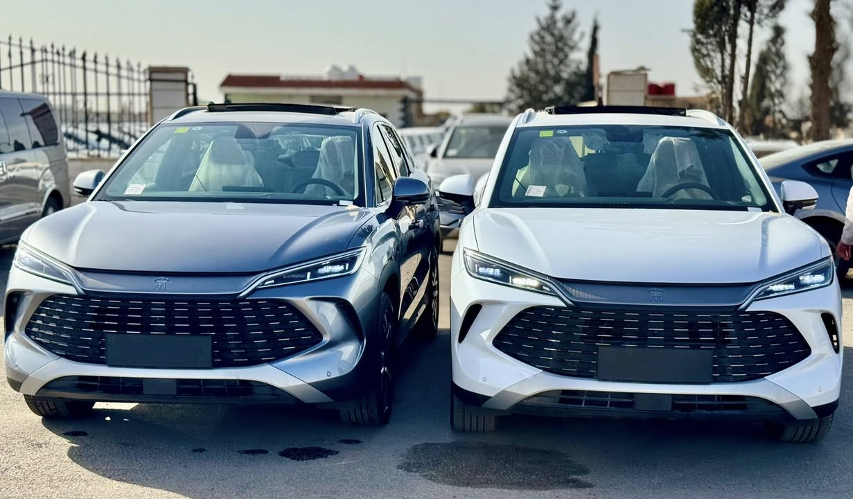 بي واي دي L 2025 - صورة 1