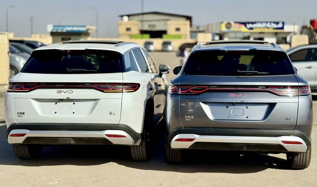 بي واي دي L 2025 - صورة 4