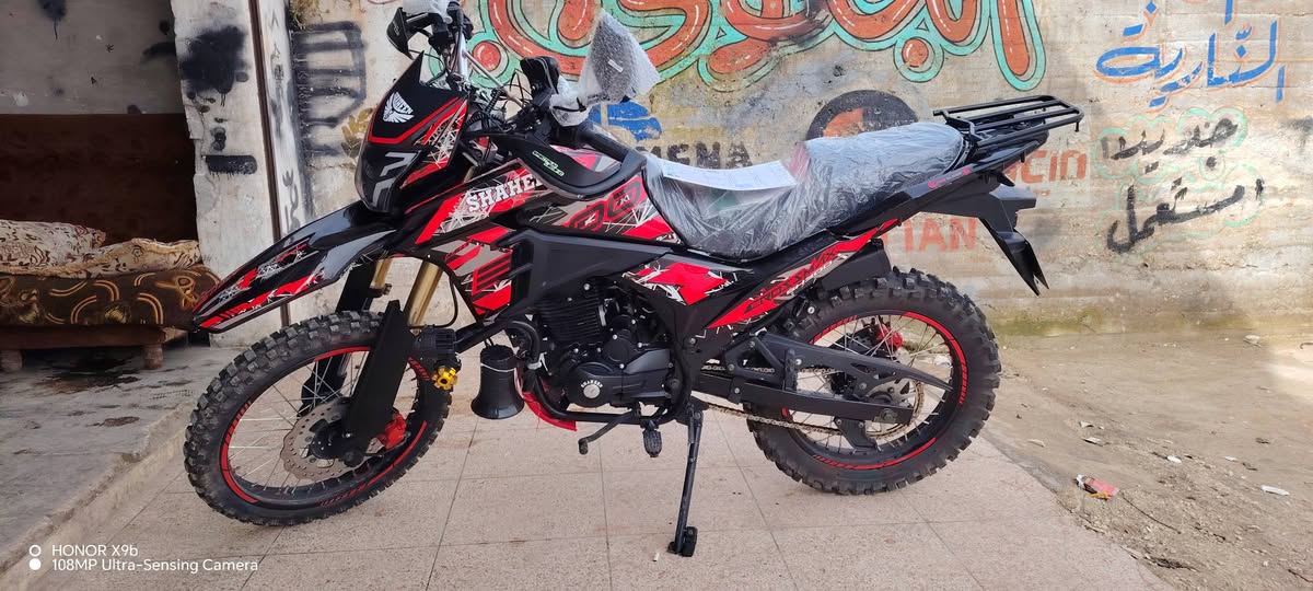 شاهين شاهين 2025 - صورة 1