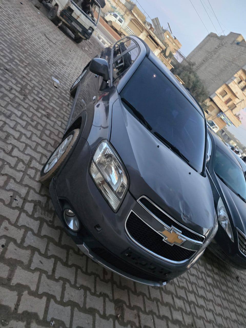 شفر ايفلندو 2013 - صورة 1