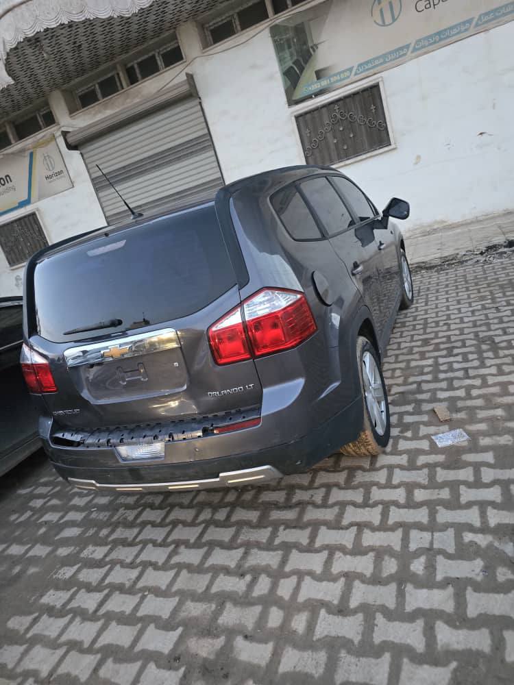 شفر ايفلندو 2013 - صورة 4