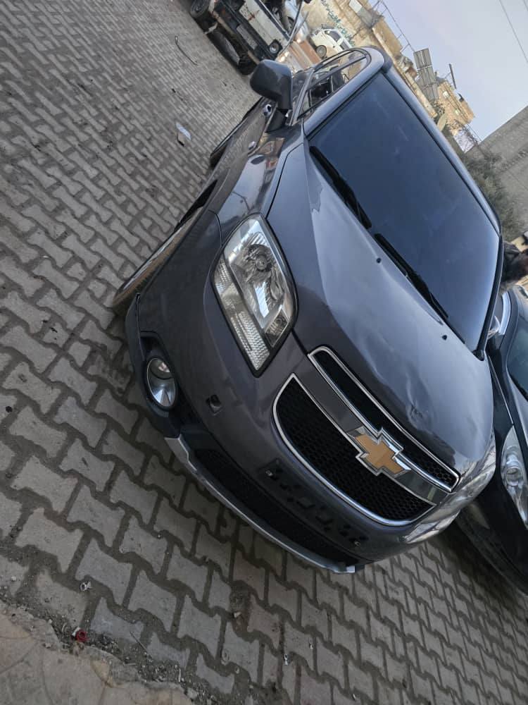 شفر ايفلندو 2013 - صورة 5