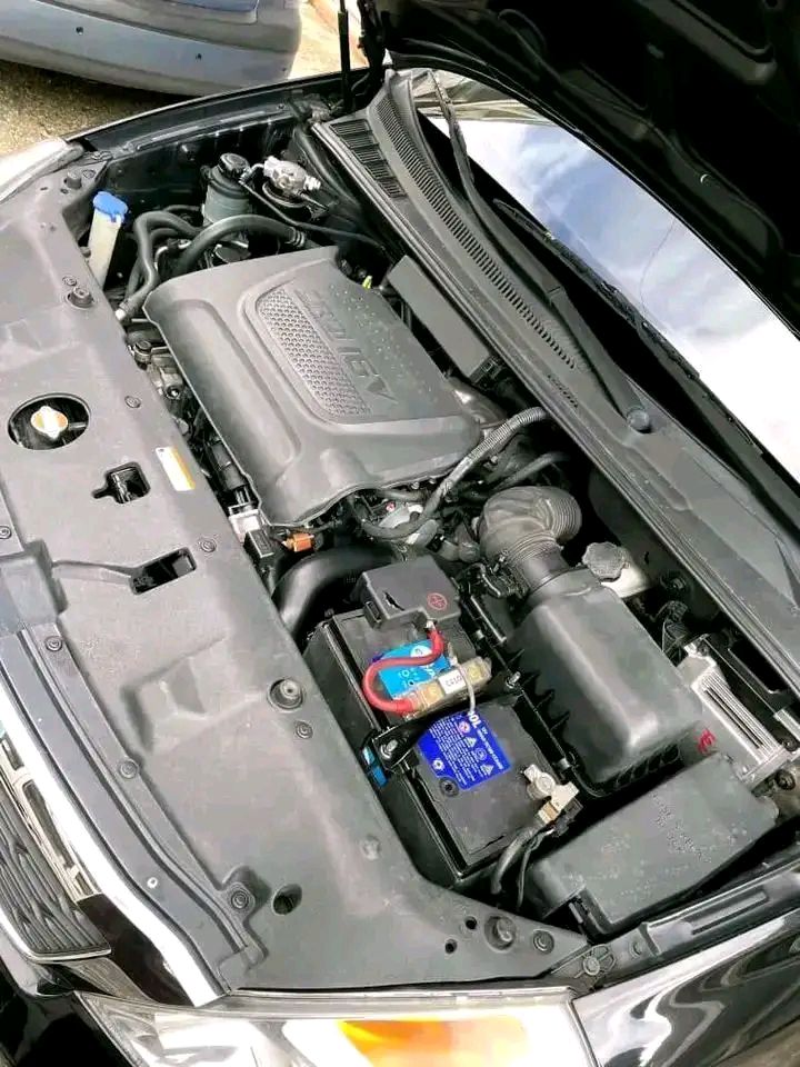 كيا كرنفال 2011 - صورة 5