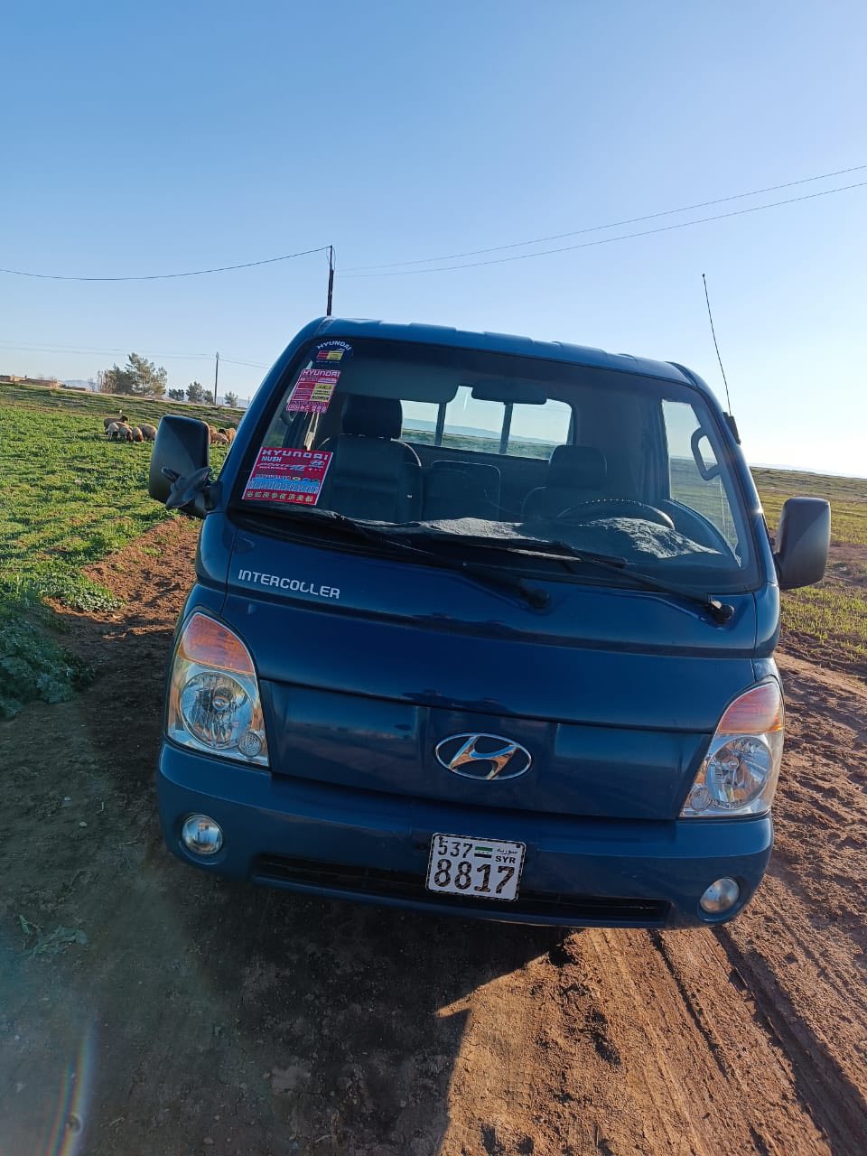 هيونداي بورتر 2007 - صورة 2