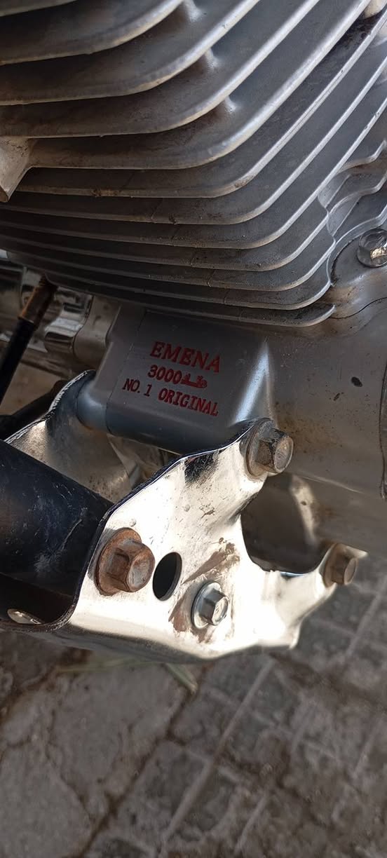 ايمنا بارت 2019 - صورة 3