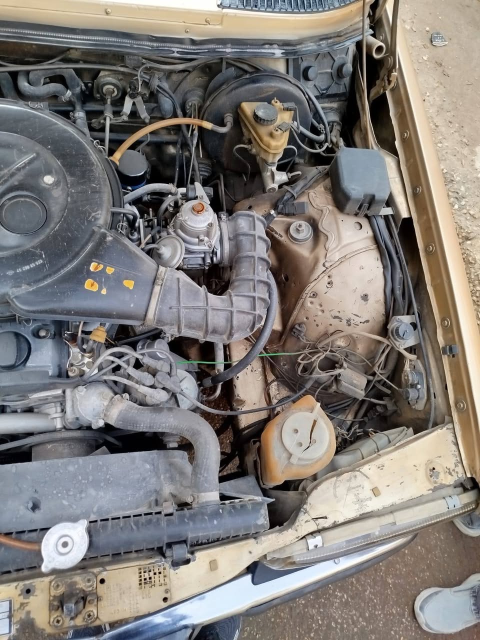 مرسيدس 200 1984 - صورة 4