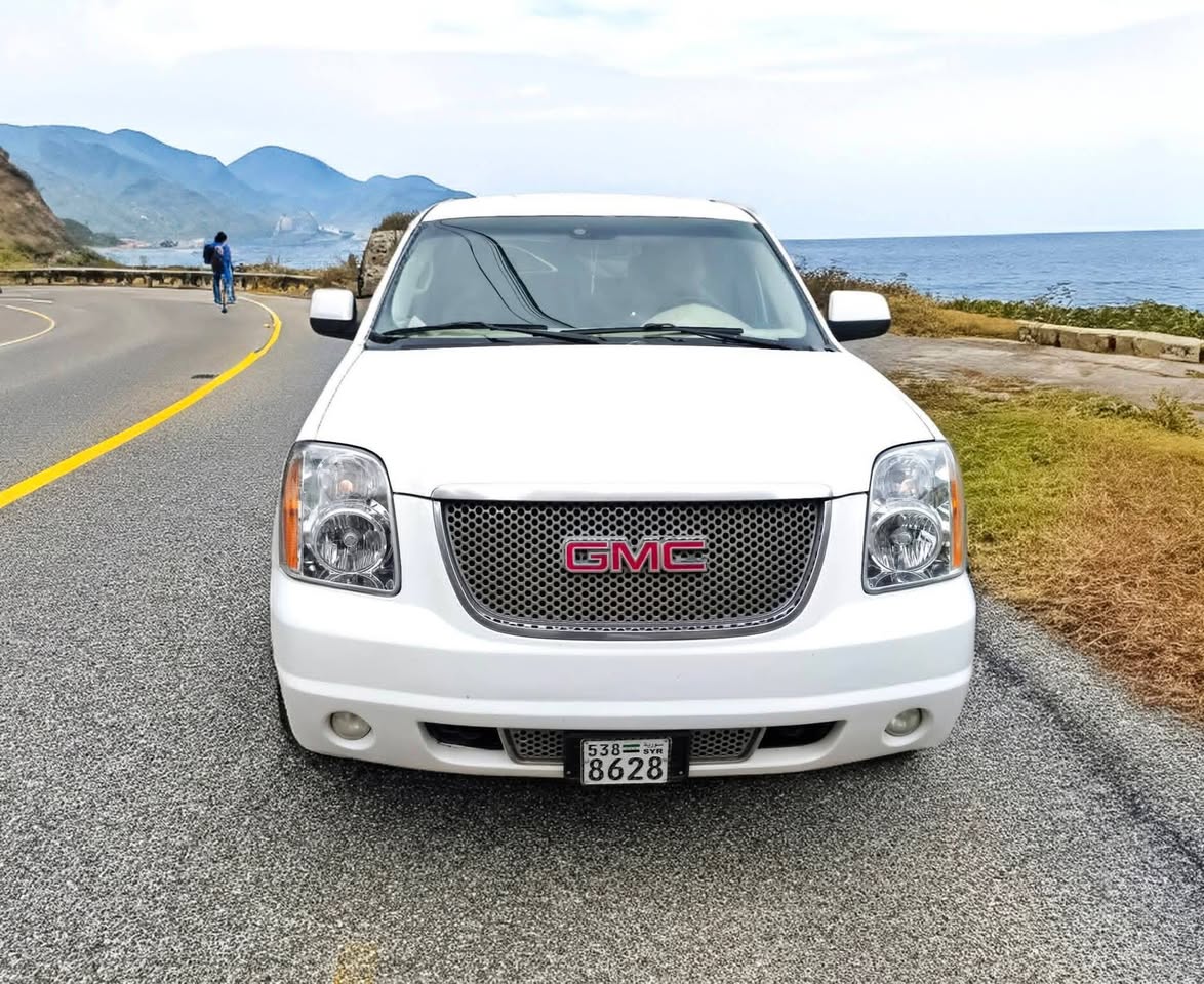 GMC يوكون دينالي 2010 - صورة 1