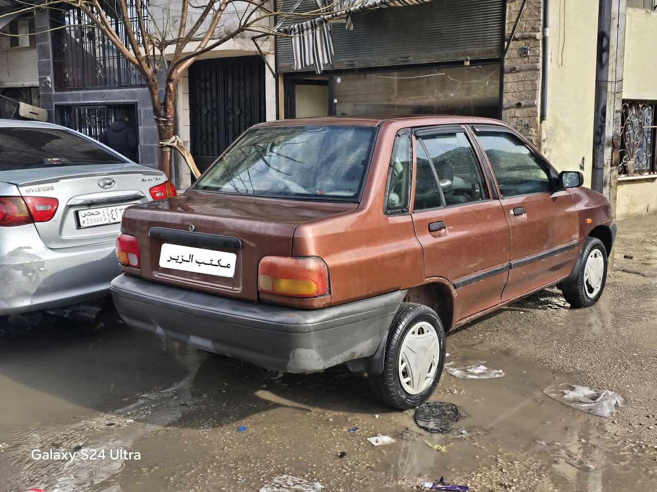 فاو سابا 2011 - صورة 3