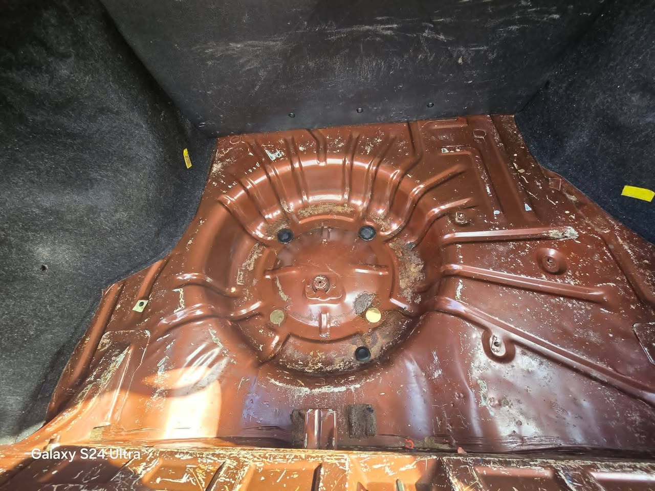 فاو سابا 2011 - صورة 5