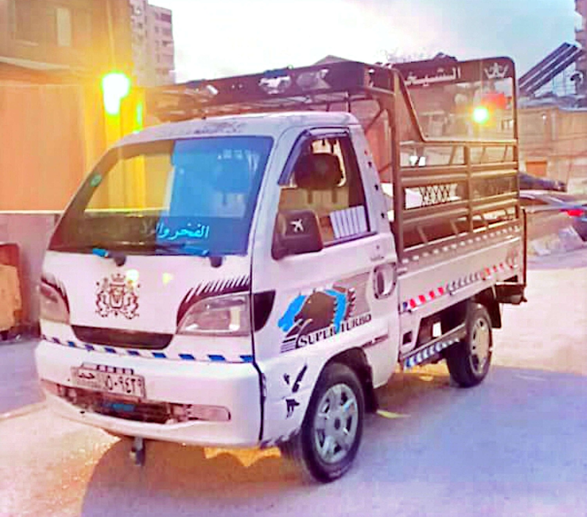 هافاي سونك 2009 - صورة 1