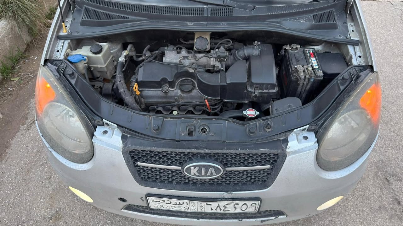 كيا مورنيغ 2009 - صورة 4