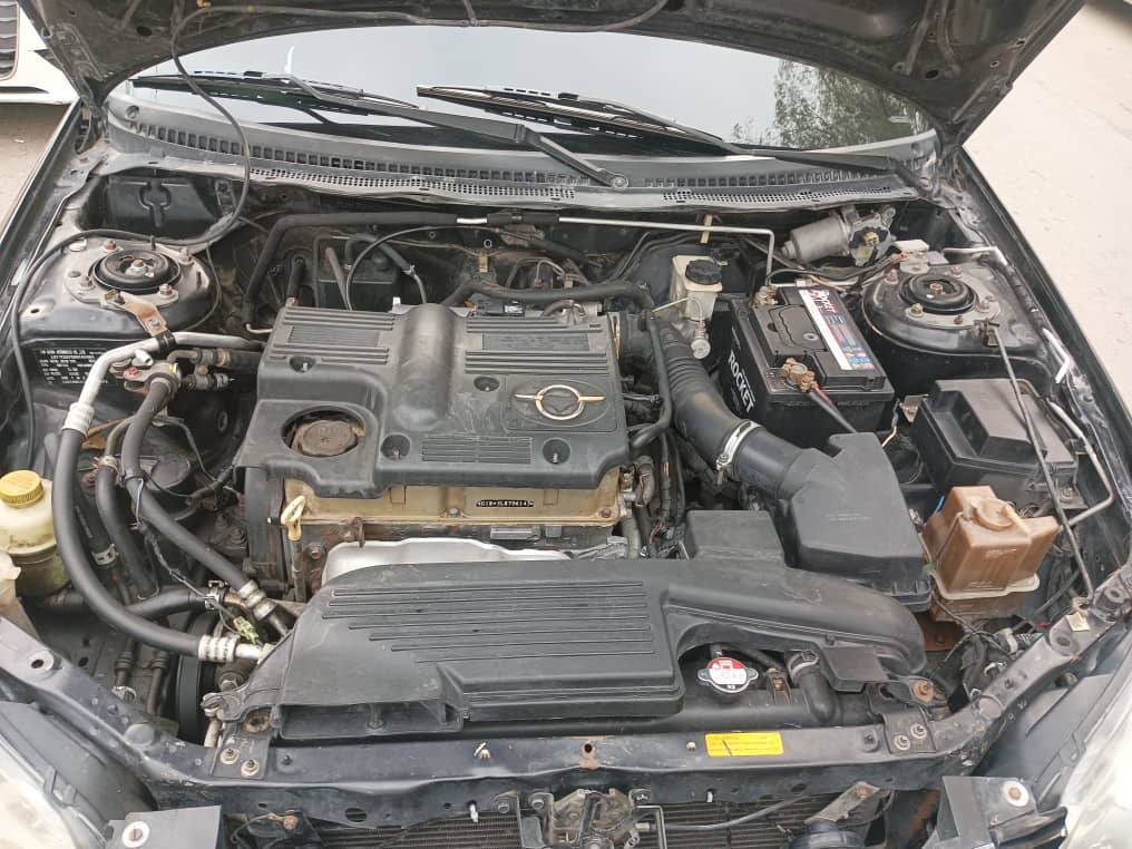 هـايما كرت 2010 - صورة 5