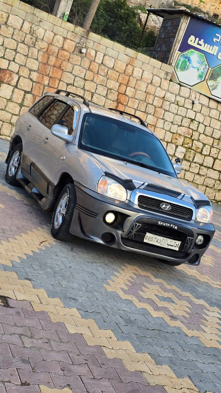 هيونداي سنتافي 2004 - صورة 3