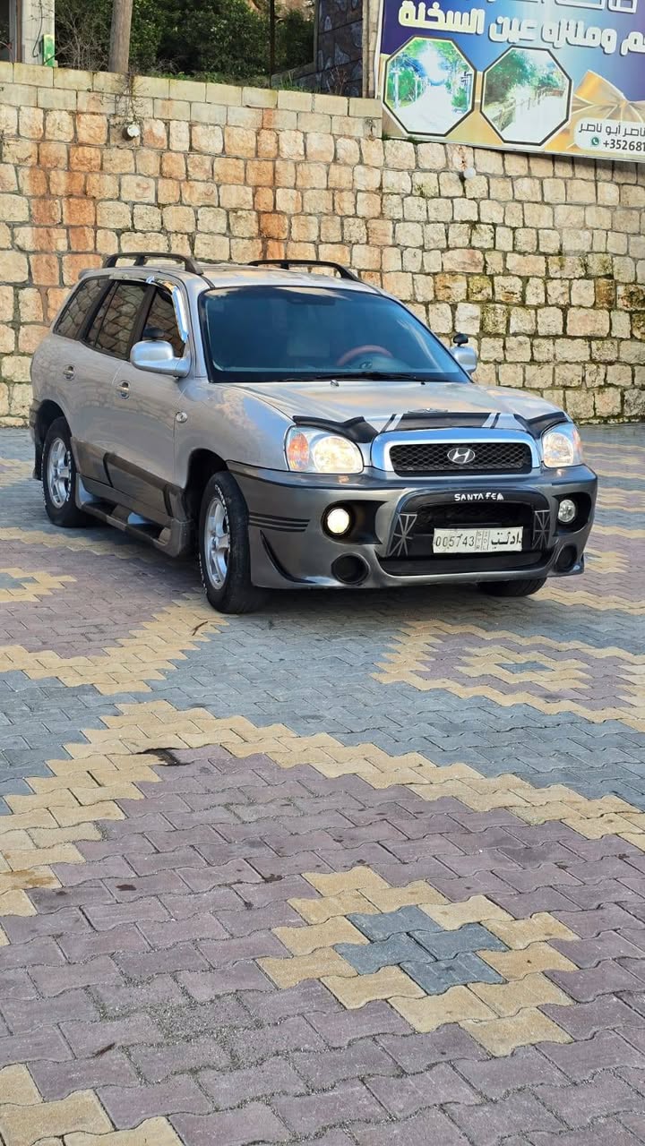 هيونداي سنتافي 2004 - صورة 2