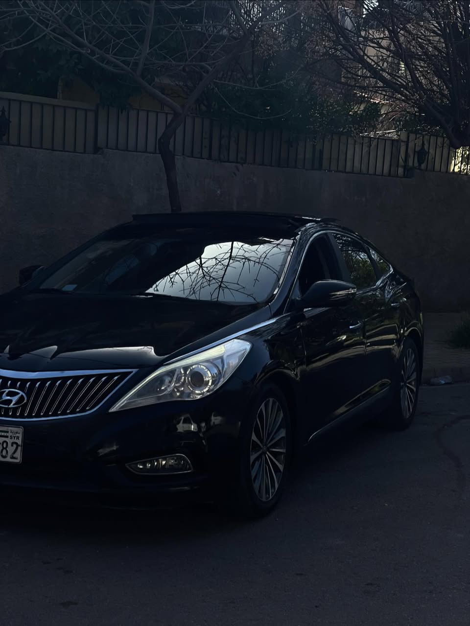 هيونداي أزايرا 2014 - صورة 2