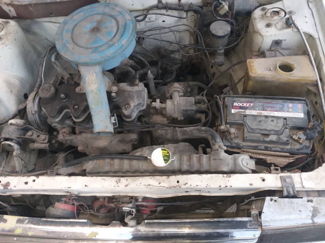 نسيان صني 1983 - صورة 2