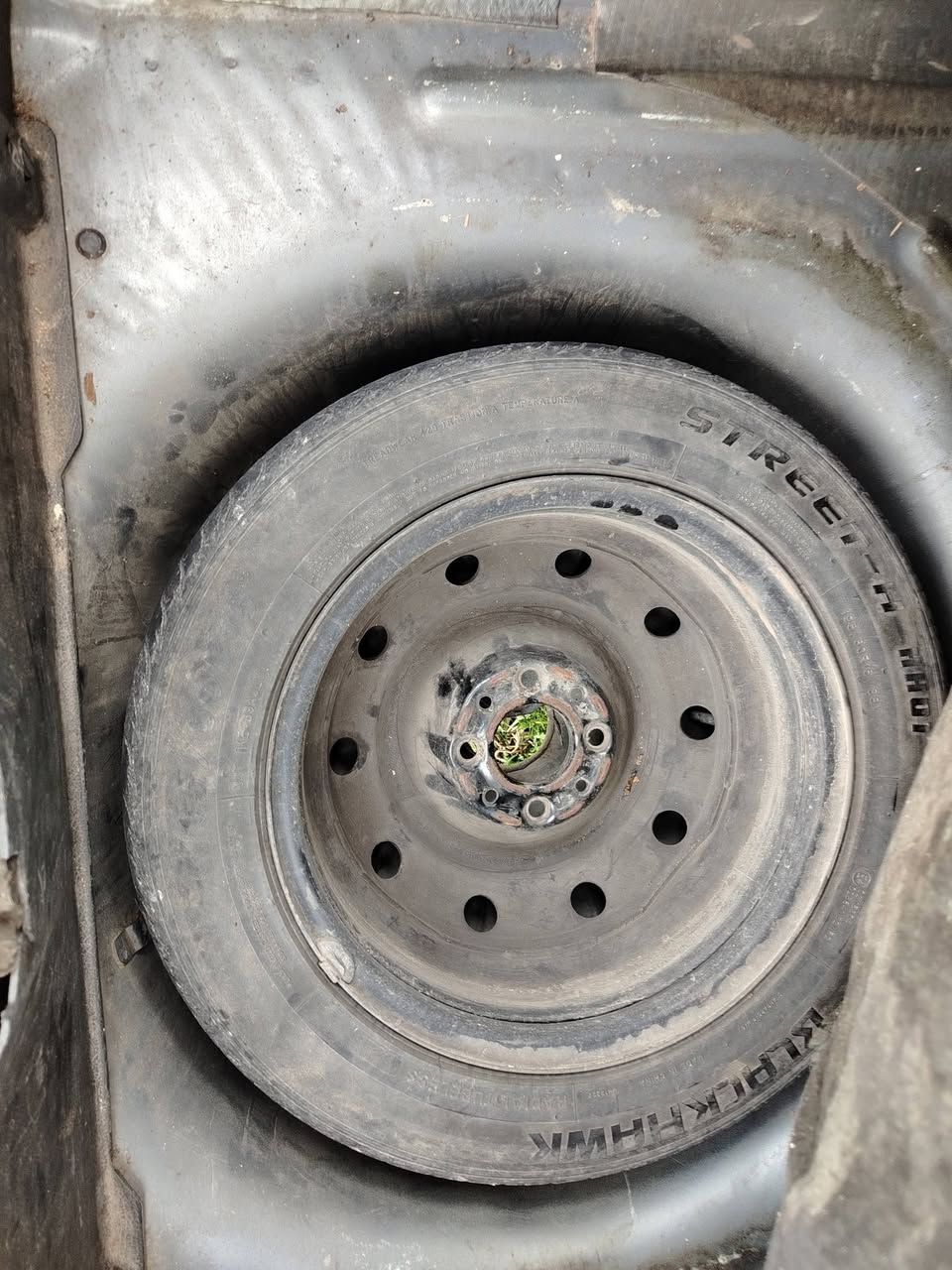 شام شام 2010 - صورة 2