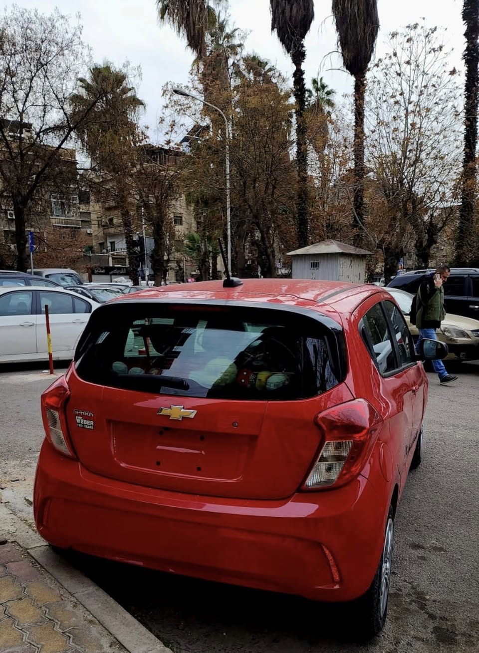 شفر سبارك 2020 - صورة 3