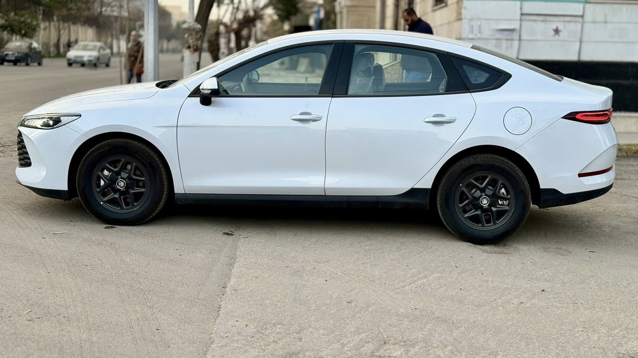 بي واي دي تشين بلس 2025 - صورة 5