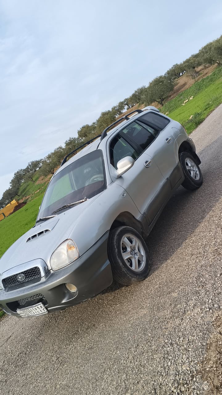 هيونداي سنتافي 2001 - صورة 2