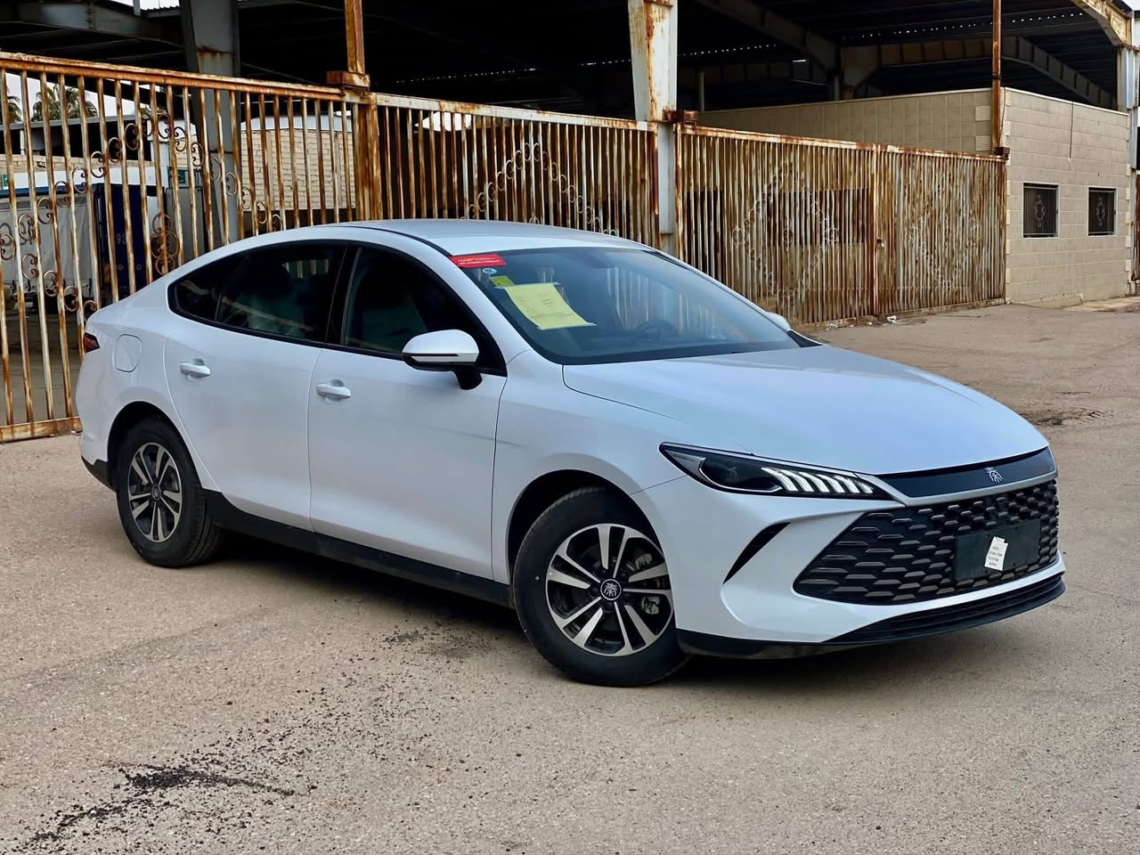 بي واي دي شين بلس 2025 - صورة 1