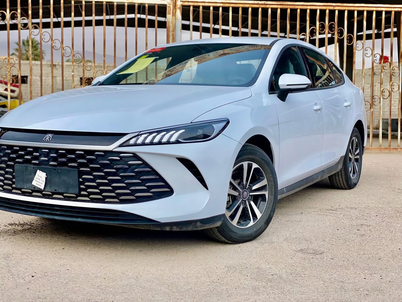 بي واي دي شين بلس 2025 - صورة 4