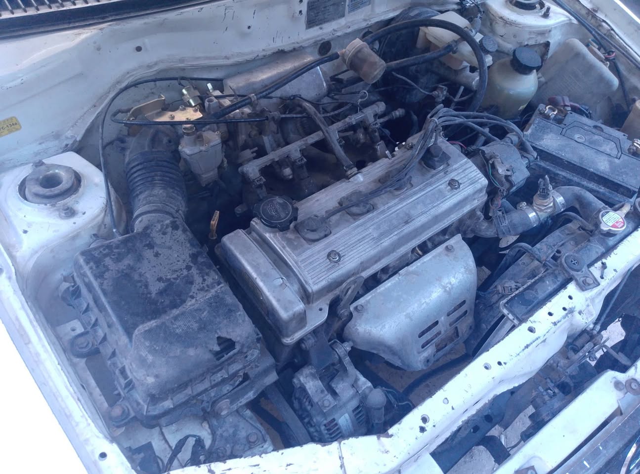 فاو كرت 2005 - صورة 1