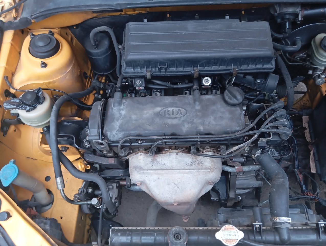 كيا ريو 2002 - صورة 4