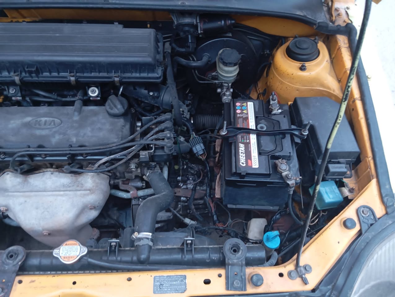 كيا ريو 2002 - صورة 5