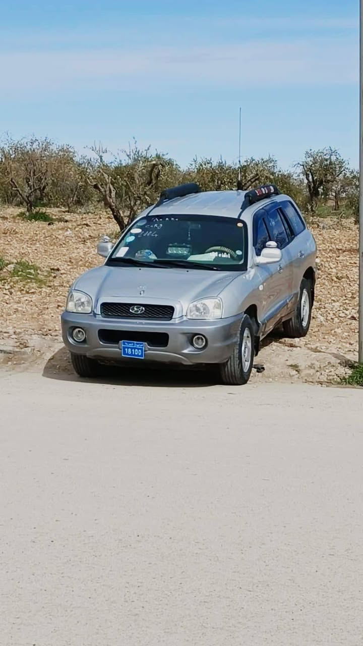 هيونداي سانتافي 2004 - صورة 2