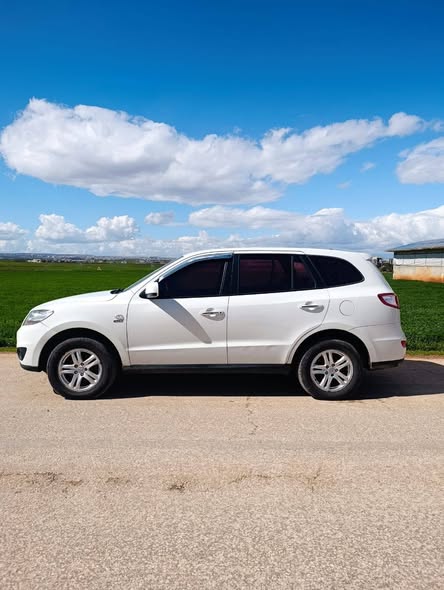 هيونداي سانتا في 2011 - صورة 1