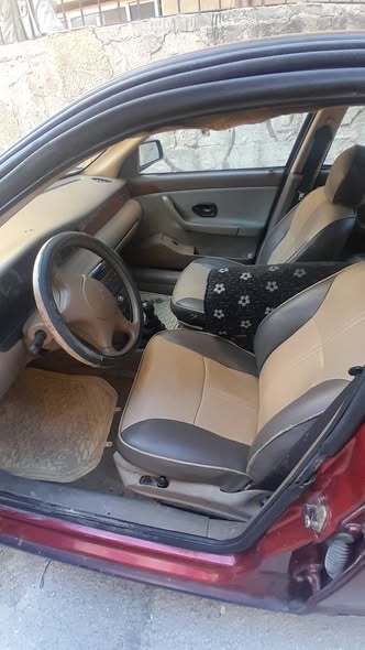 شام سيفيكو 2009 - صورة 4