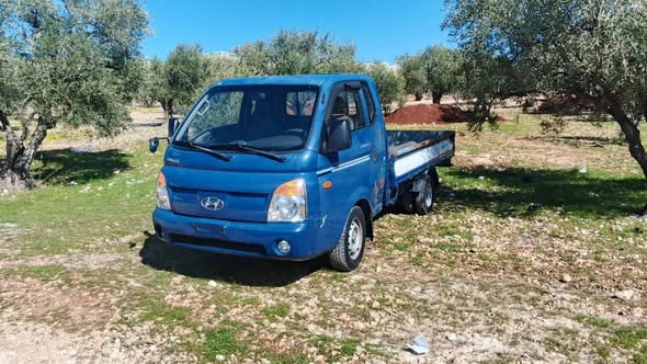 هوند بورتر 2008 - صورة 1