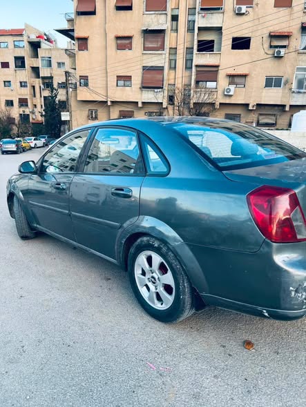 شفر وبترا 2009 - صورة 2